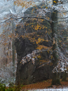 Europa, Deutschland, Hessen, Siegbach, Naturpark Lahn-Dill-Bergland, Schnee im Herbstwald an den Wilhelmsteinen Europa, Deutschland, Hessen, Siegbach, Naturpark Lahn-Dill-Bergland, Schnee im Herbstwald an den Wilhelmsteinen